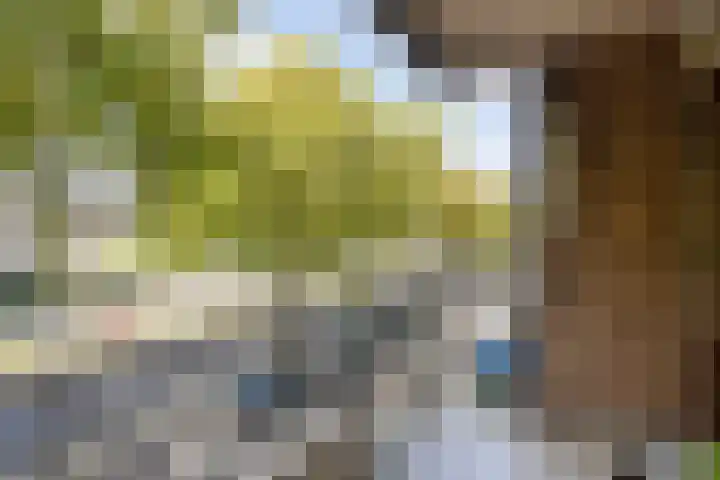 Schiekade 504 Rotterdam thumbnail 16