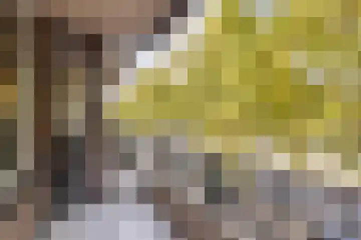 Schiekade 504 Rotterdam thumbnail 17