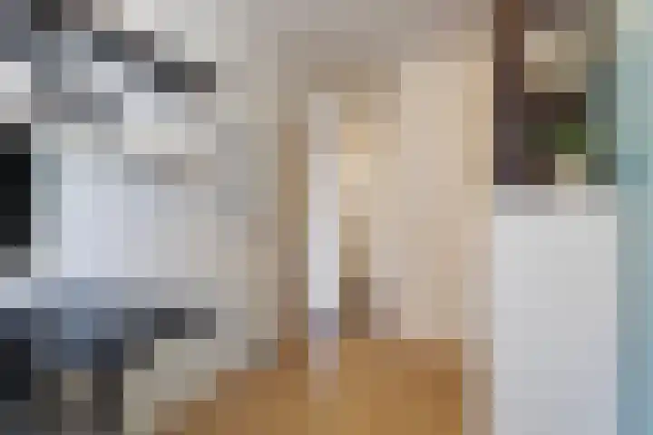Schiekade 504 Rotterdam thumbnail 27