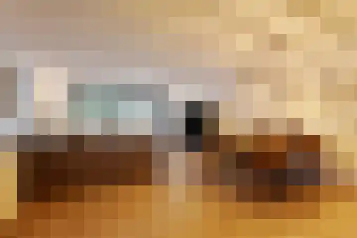 Schiekade 504 Rotterdam thumbnail 9