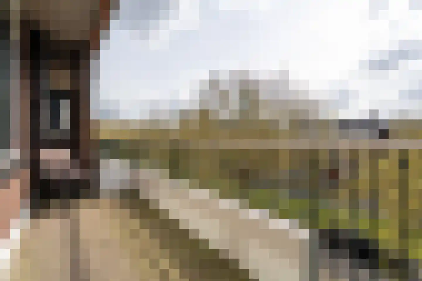 Schiekade 546 Rotterdam thumbnail 18