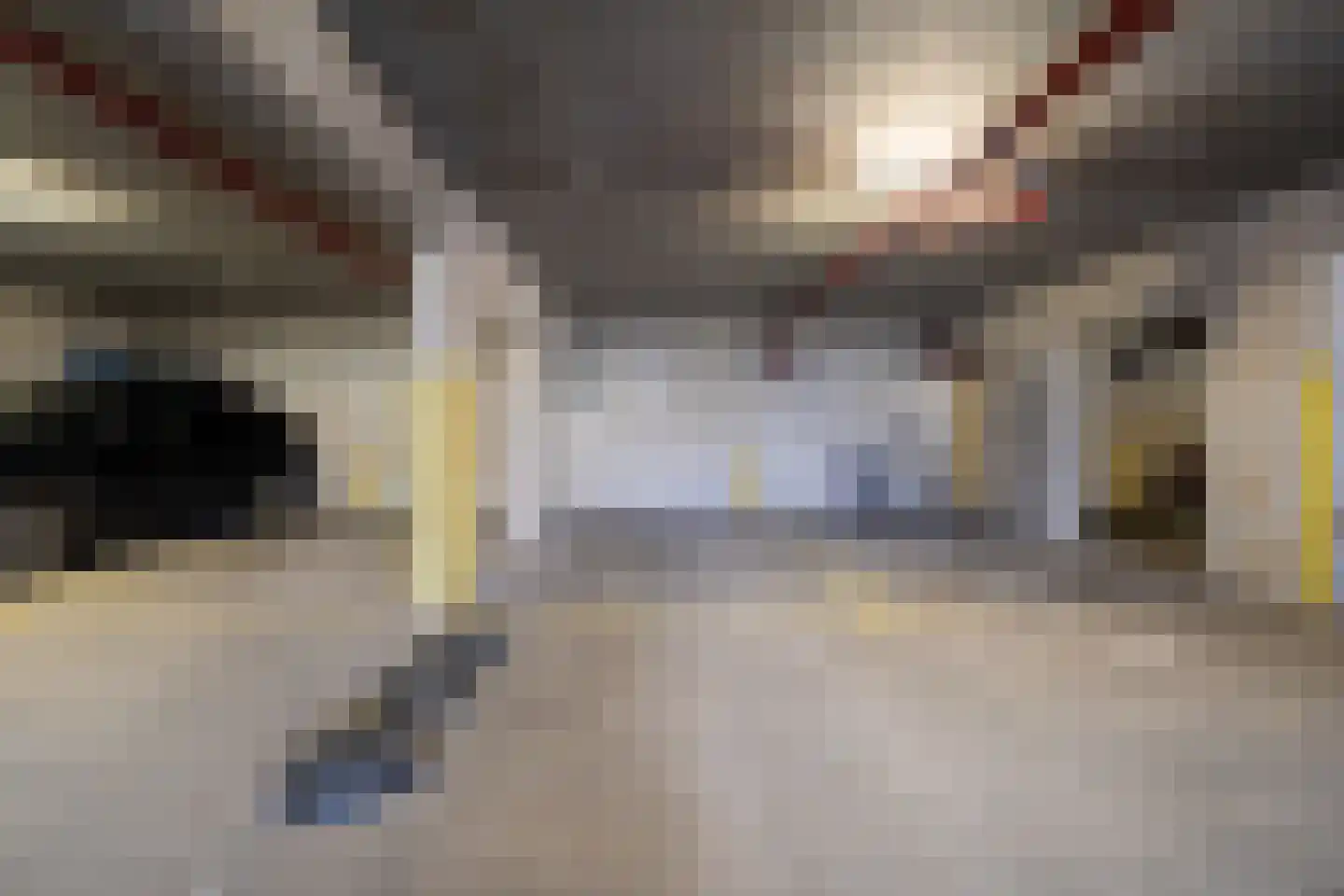 Schiekade 546 Rotterdam thumbnail 21