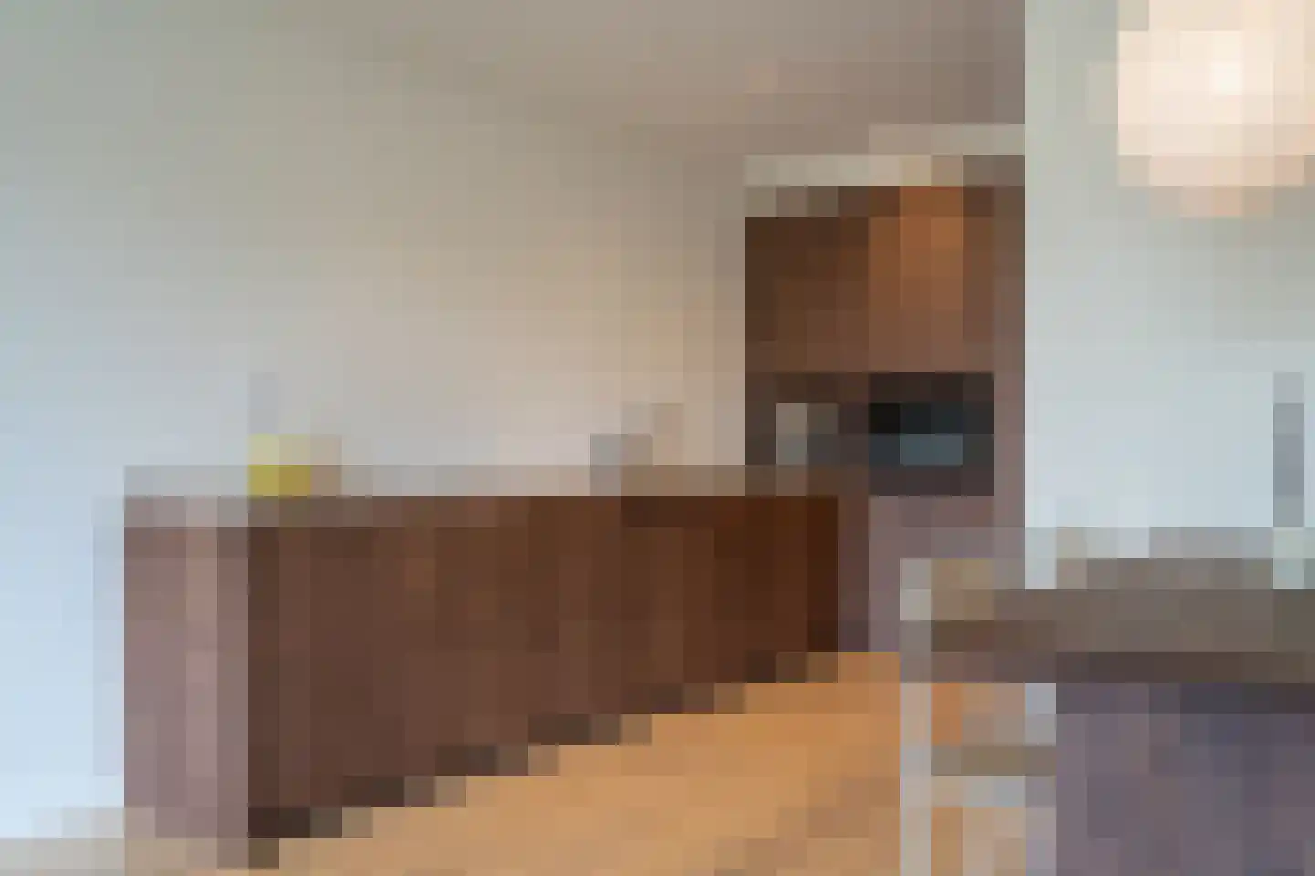 Schiekade 546 Rotterdam thumbnail 4