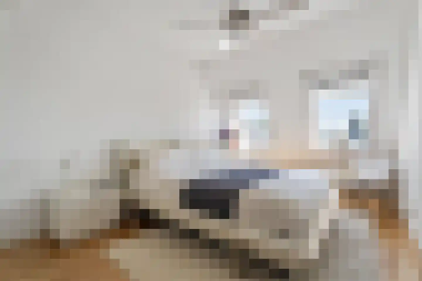 Schiekade 584 Rotterdam thumbnail 4
