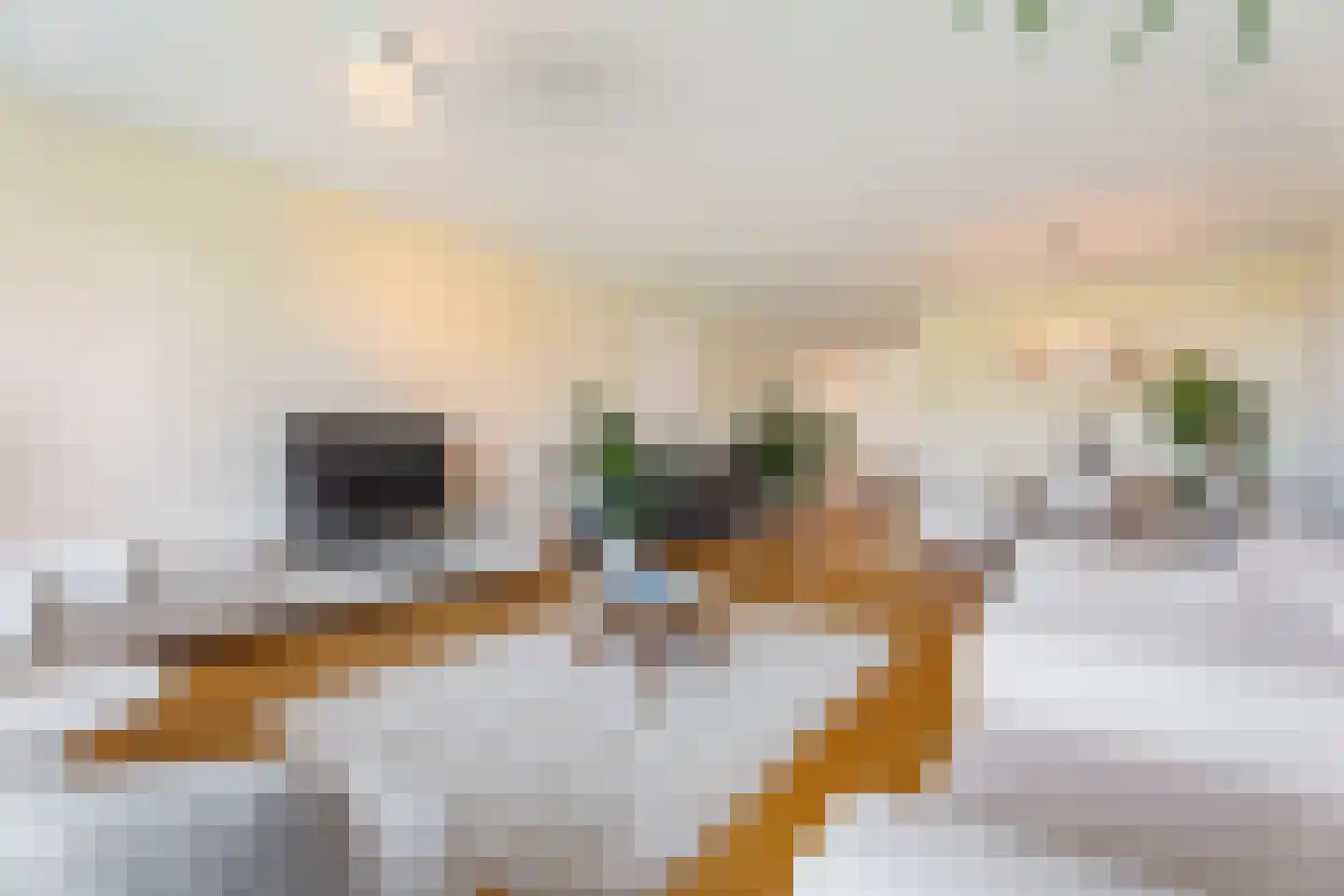 Schiekade 584 Rotterdam thumbnail 9