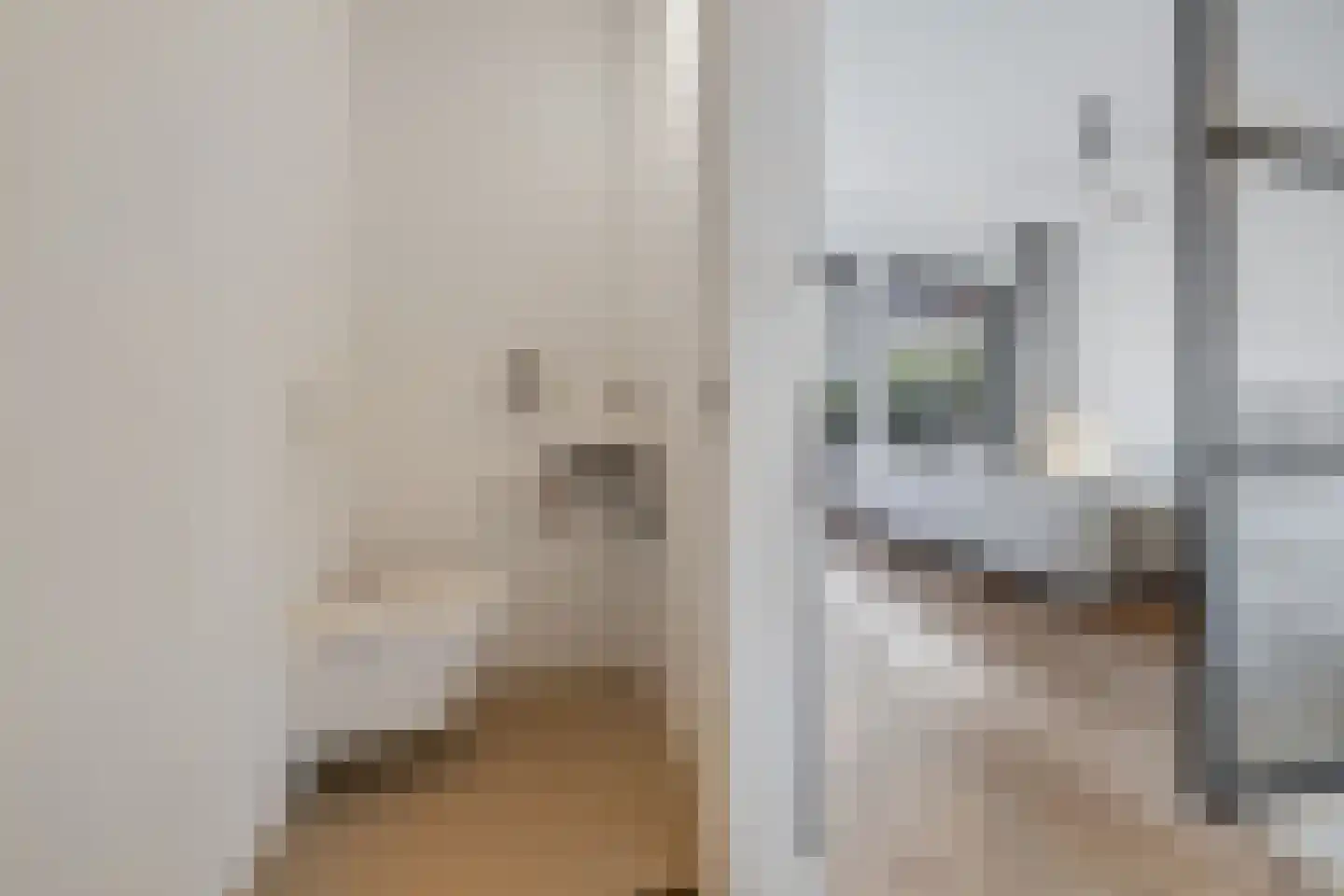Schiekade 628 A Rotterdam thumbnail 10