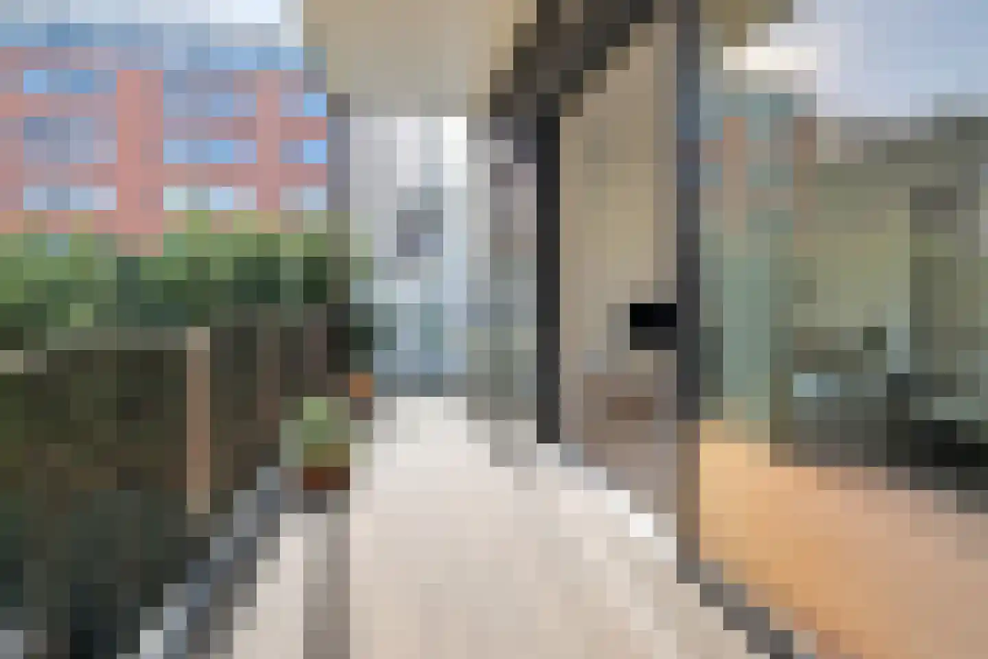 Schiekade 628 A Rotterdam thumbnail 24