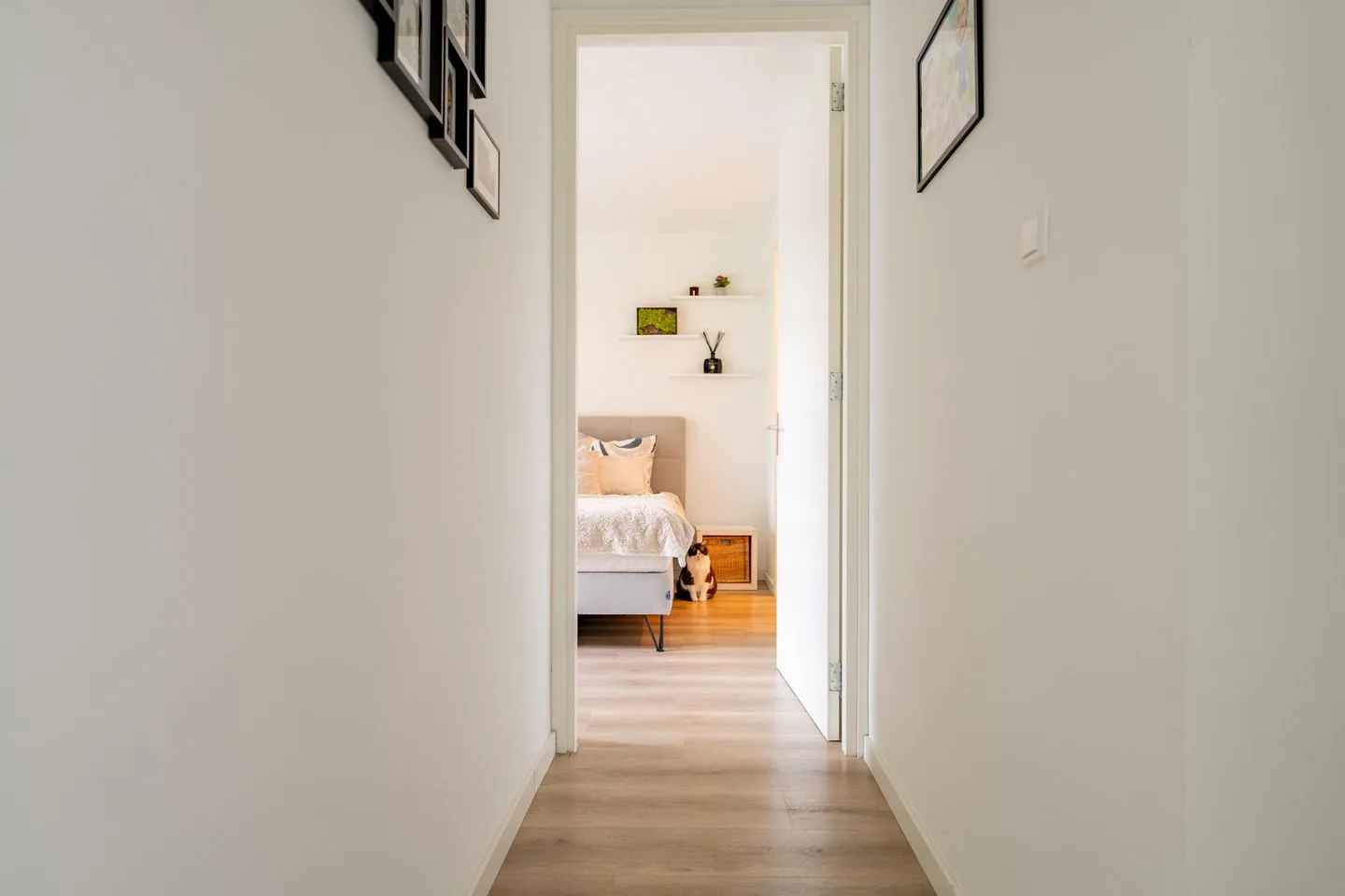 Schiekade 628 A Rotterdam thumbnail 28