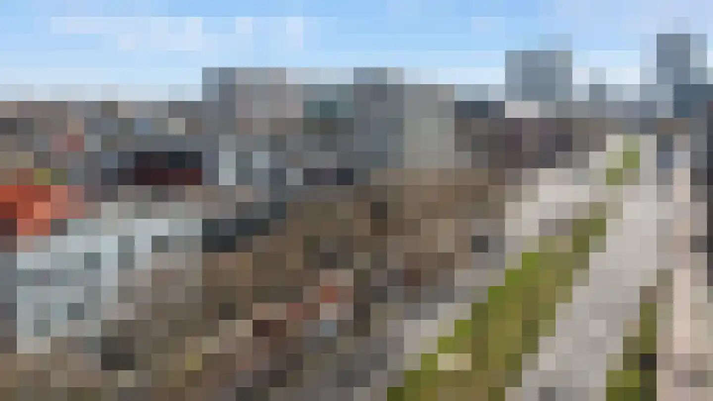 Schiekade 628 A Rotterdam thumbnail 45
