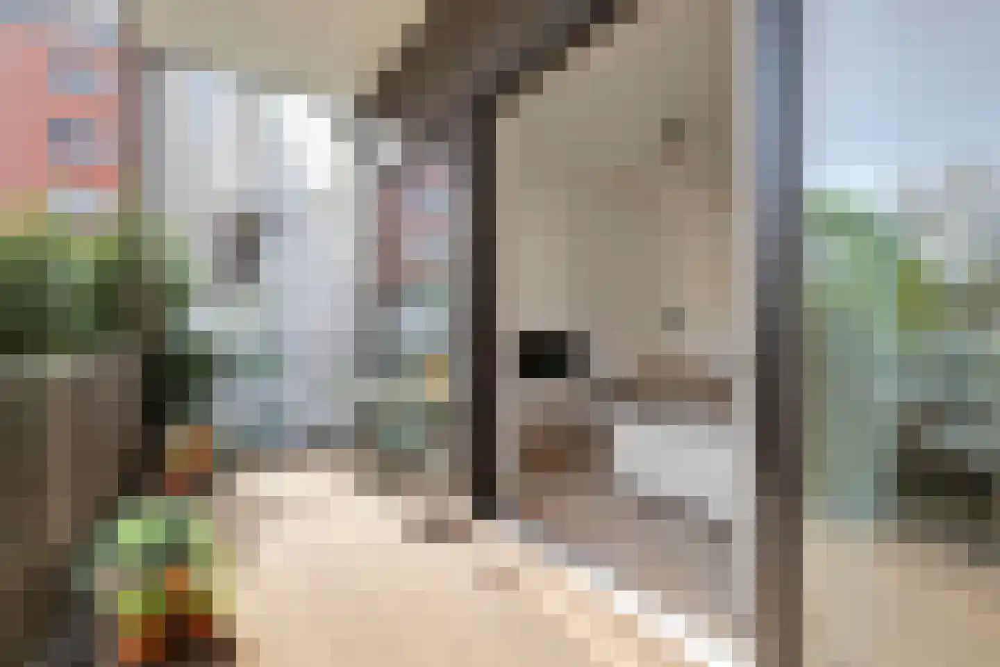 Schiekade 628 A Rotterdam thumbnail 5