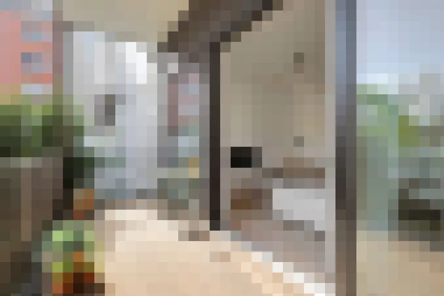 Schiekade 628 C Rotterdam thumbnail 4