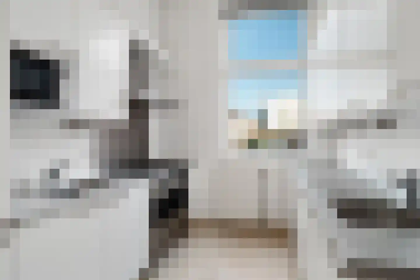 Schiekade 634 Rotterdam thumbnail 8