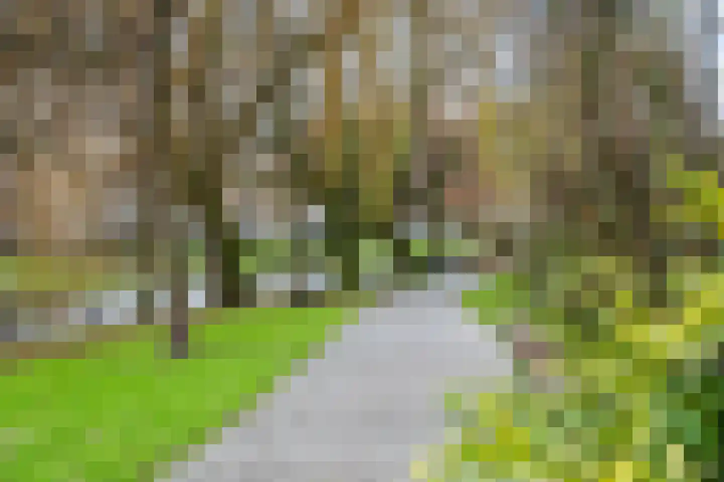 Schiekade 634 Rotterdam thumbnail 88