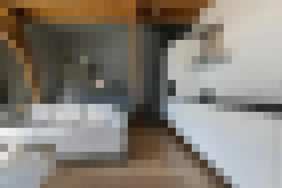 Schiekade 75 Rotterdam thumbnail 6