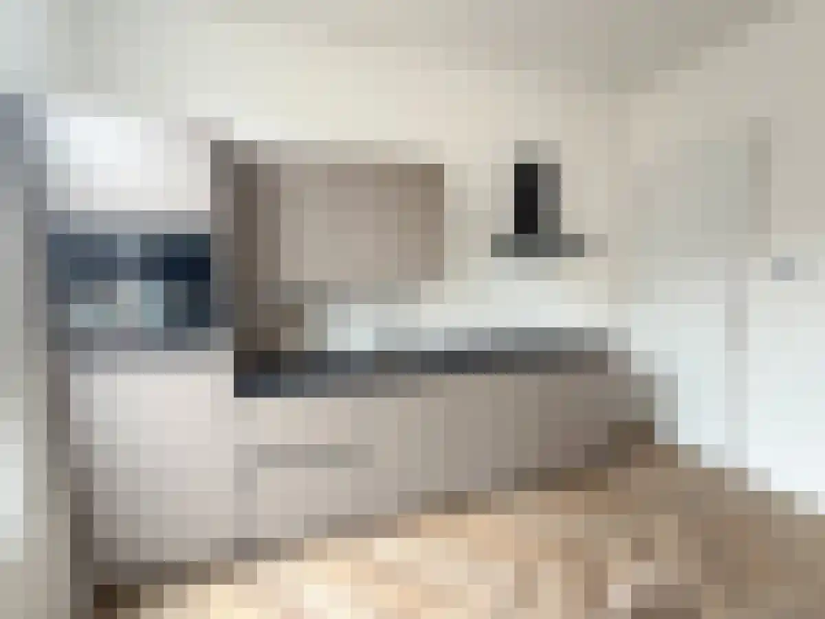 Schiekade 8 Rotterdam thumbnail 5