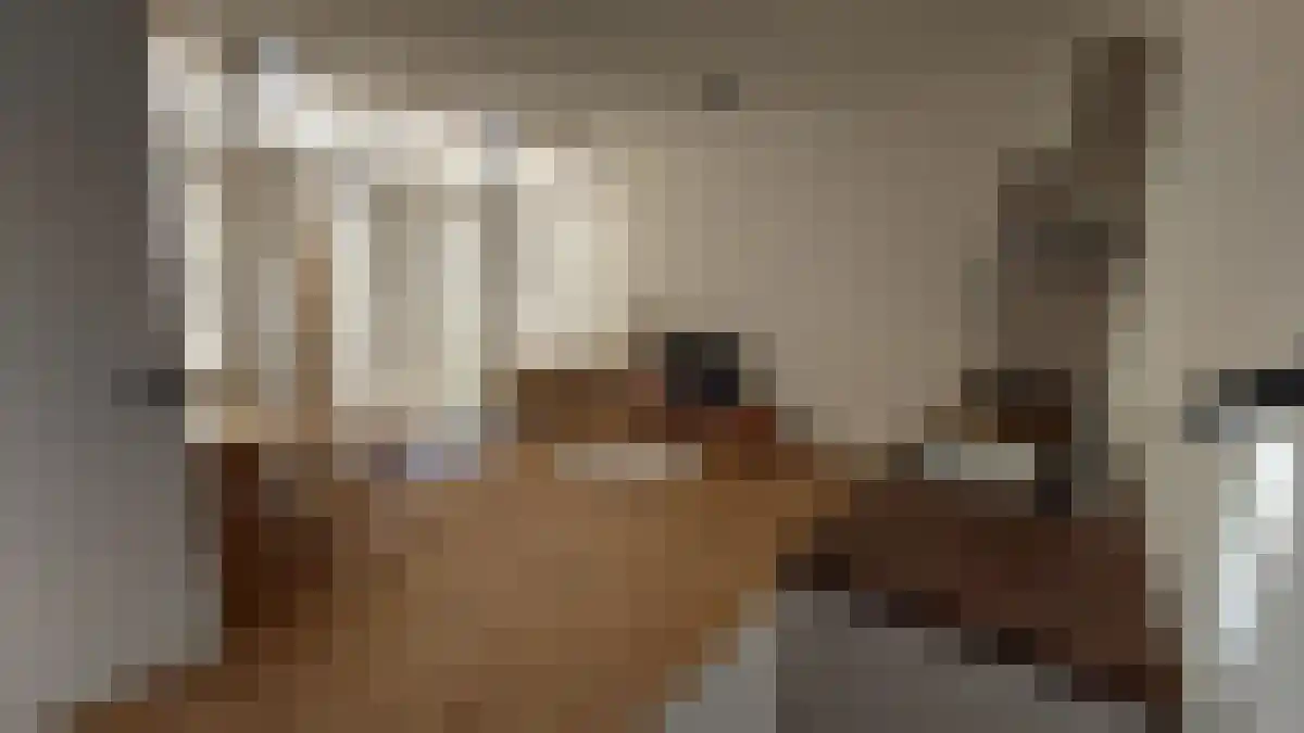 Schiekade 81 Rotterdam thumbnail 4