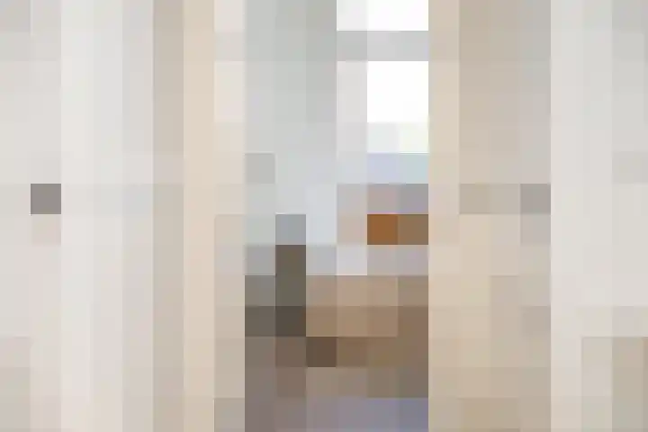 Schiekade 97 A 02 Rotterdam thumbnail 21