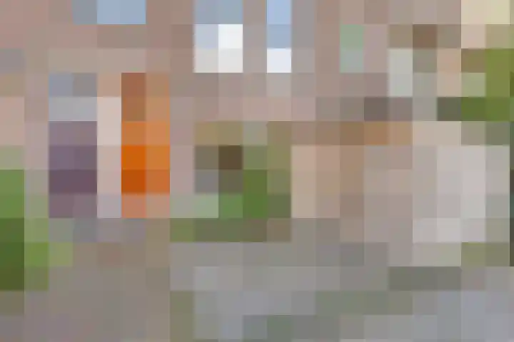 Schielaan 16 A Rotterdam thumbnail 5