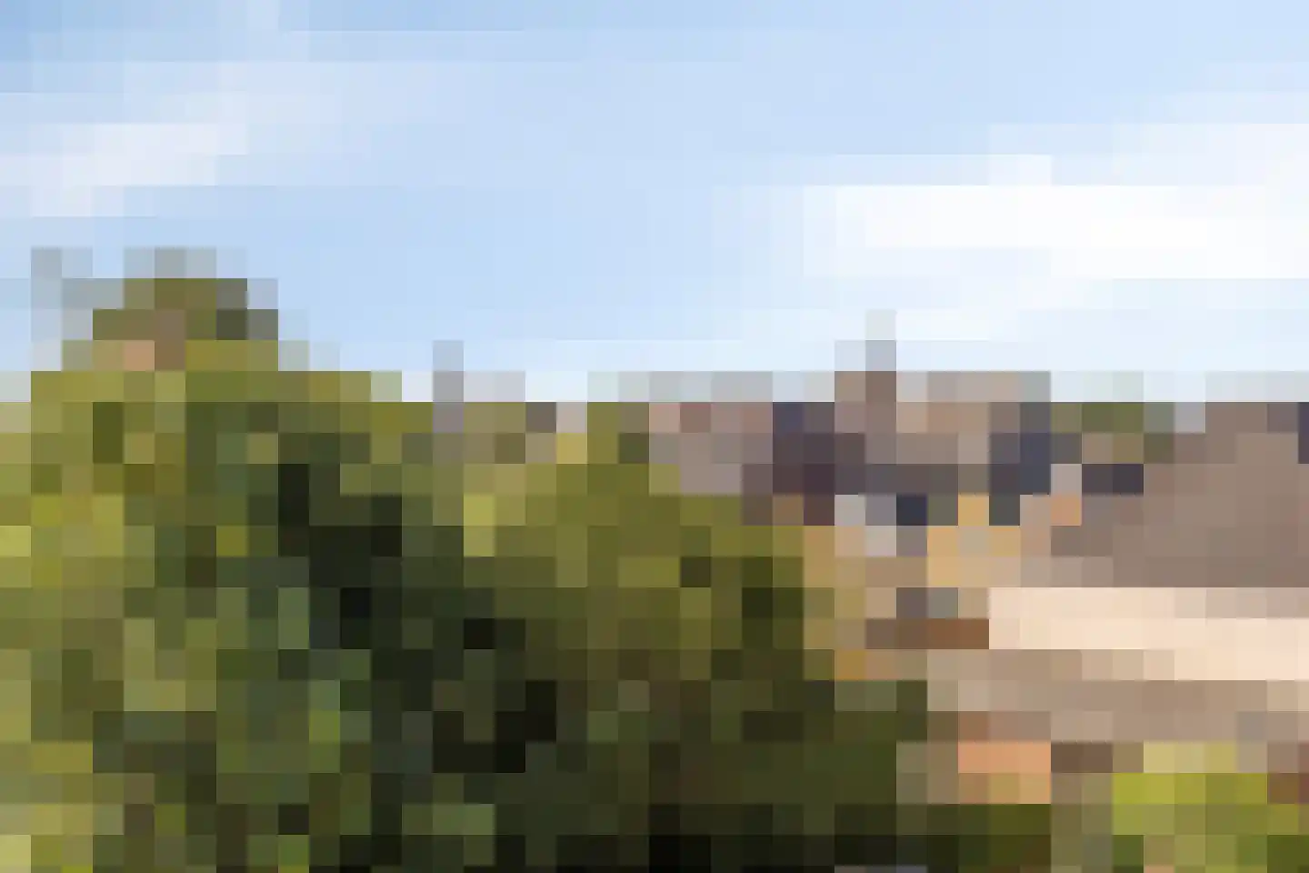 Schielaan 16 B Rotterdam thumbnail 22