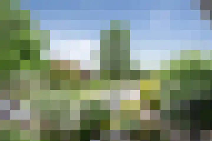 Schielaan 16 Heemstede thumbnail 26