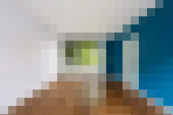 Schielaan 20 Heemstede thumbnail 11