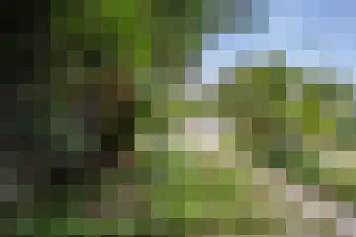 Schielaan 20 Heemstede thumbnail 13