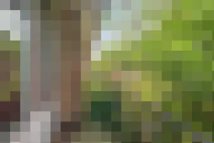 Schielaan 20 Heemstede thumbnail 33