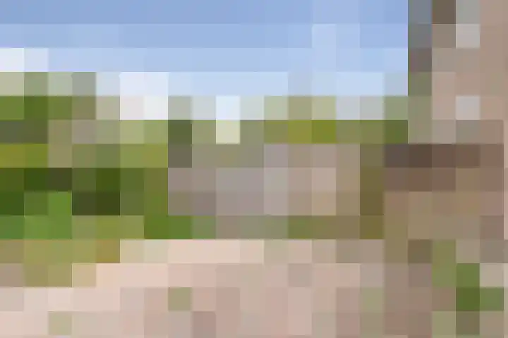 Schielaan 20 Heemstede thumbnail 5