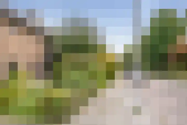 Schielaan 20 Heemstede thumbnail 52