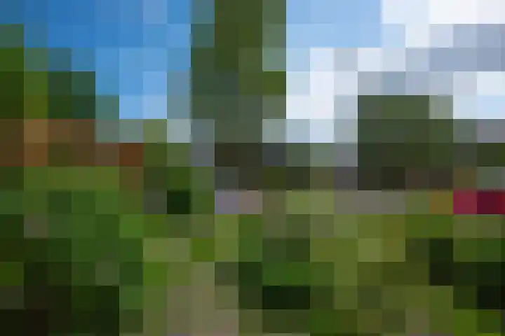 Schielaan 22 Heemstede thumbnail 31