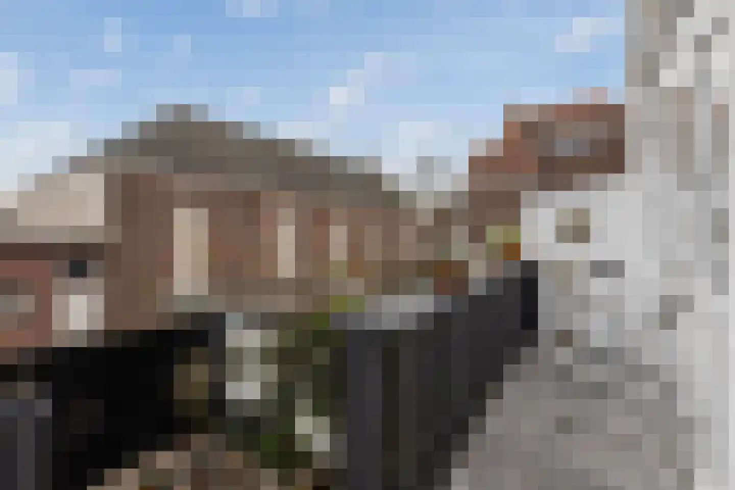 Schielaan 6 B Rotterdam thumbnail 22