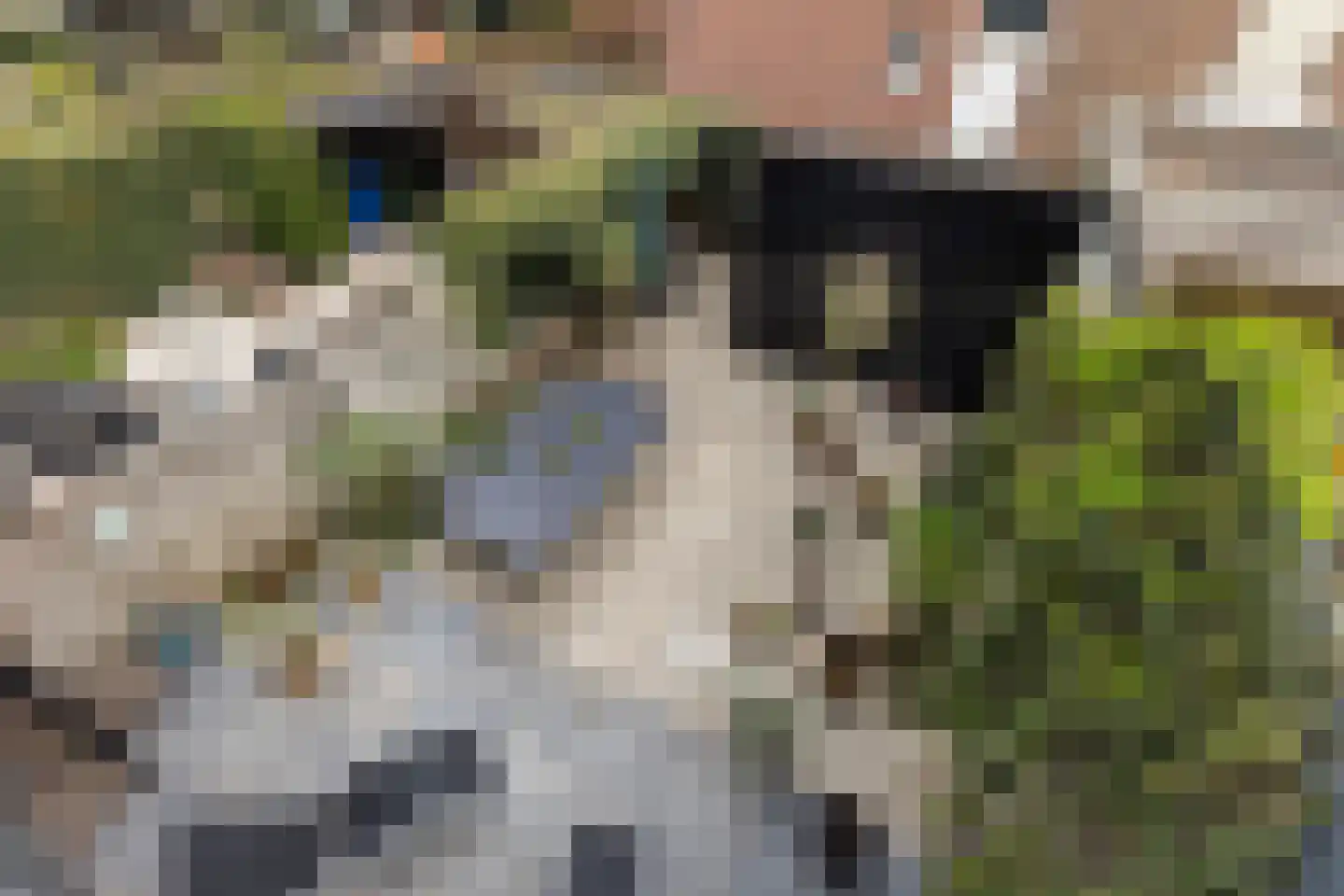 Schielaan 6 B Rotterdam thumbnail 24