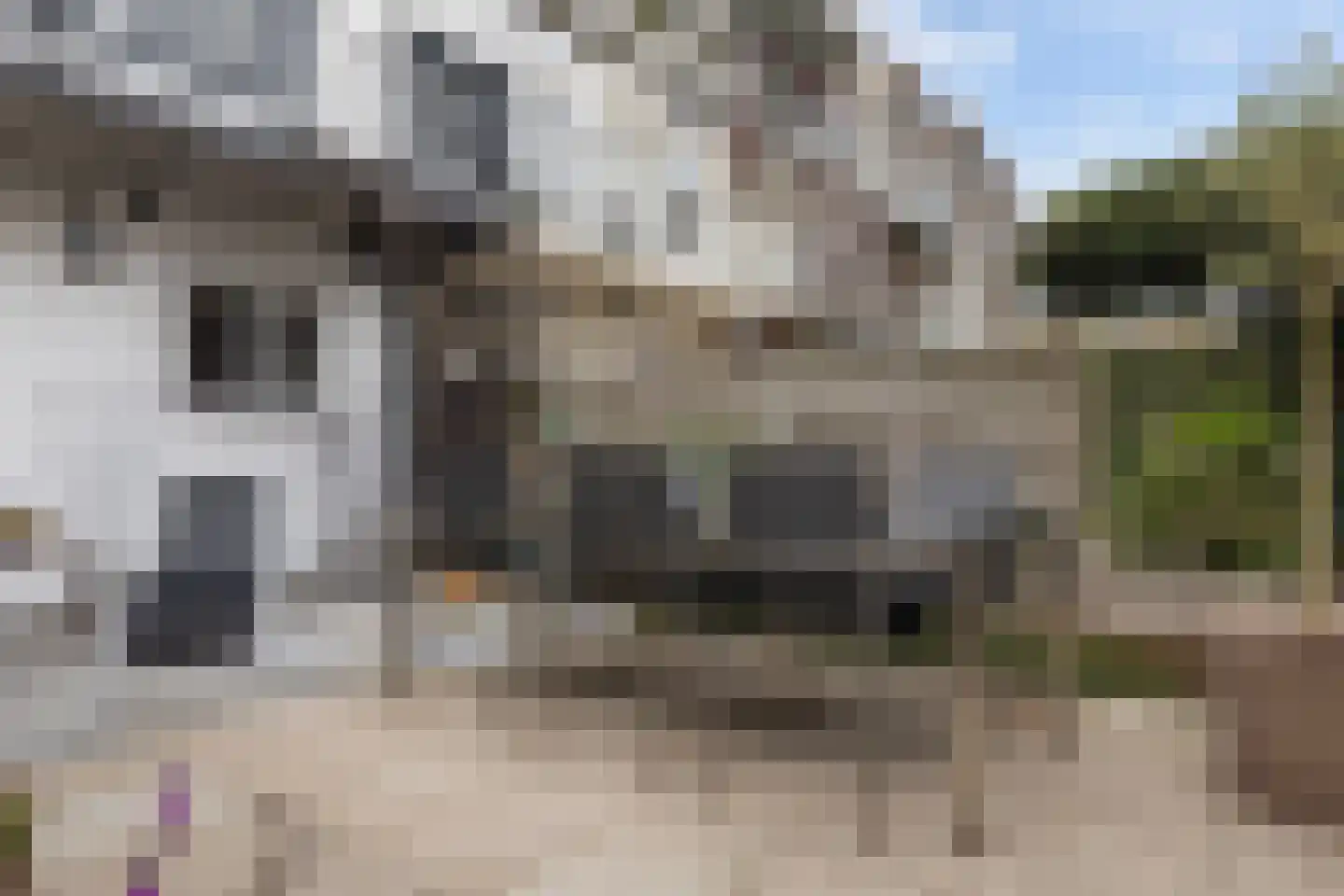 Schielaan 6 B Rotterdam thumbnail 38