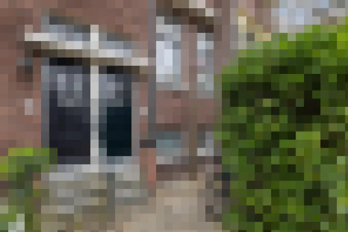 Schielaan 6 B Rotterdam thumbnail 5