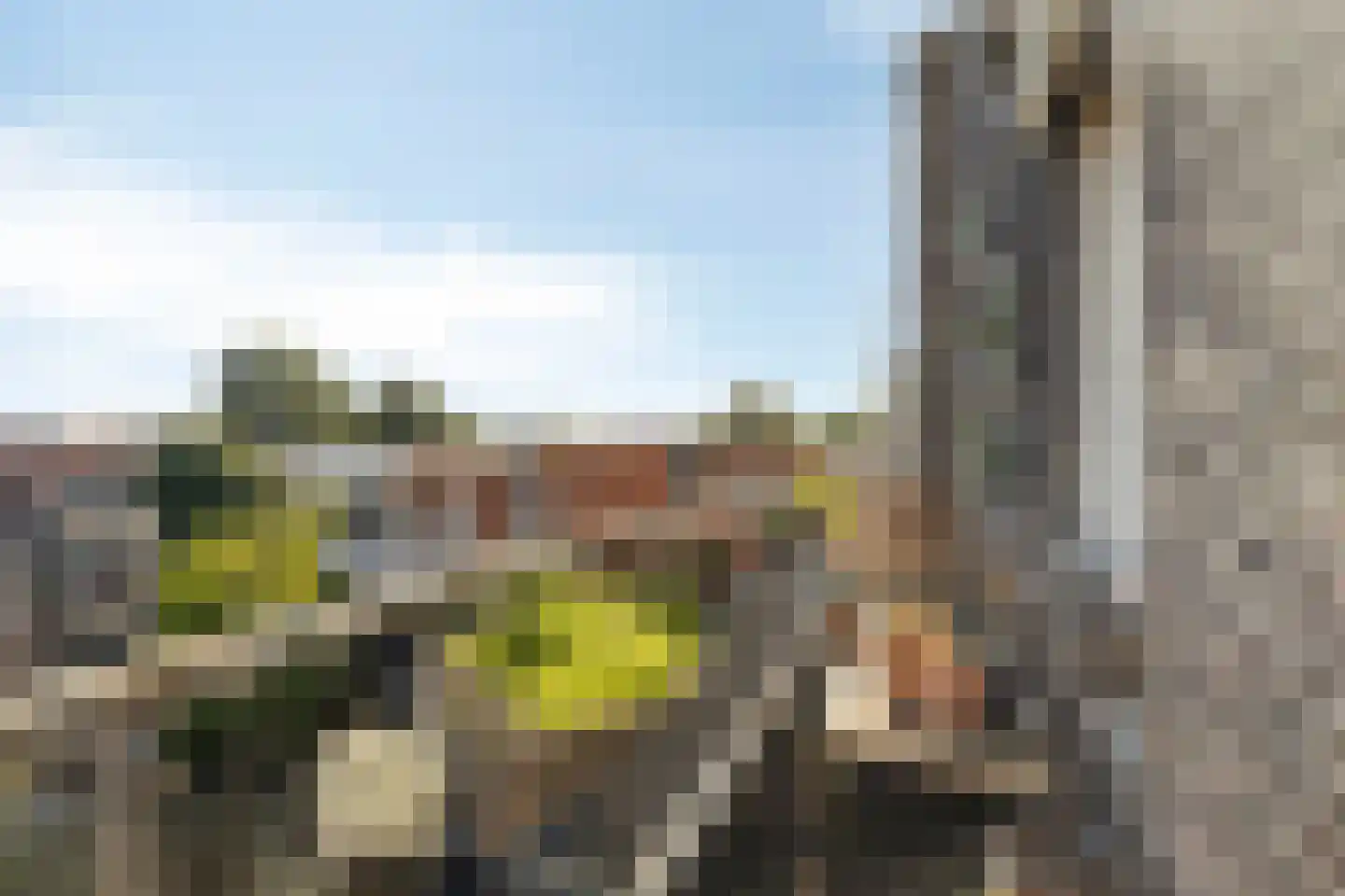 Schielaan 60 A Rotterdam thumbnail 16