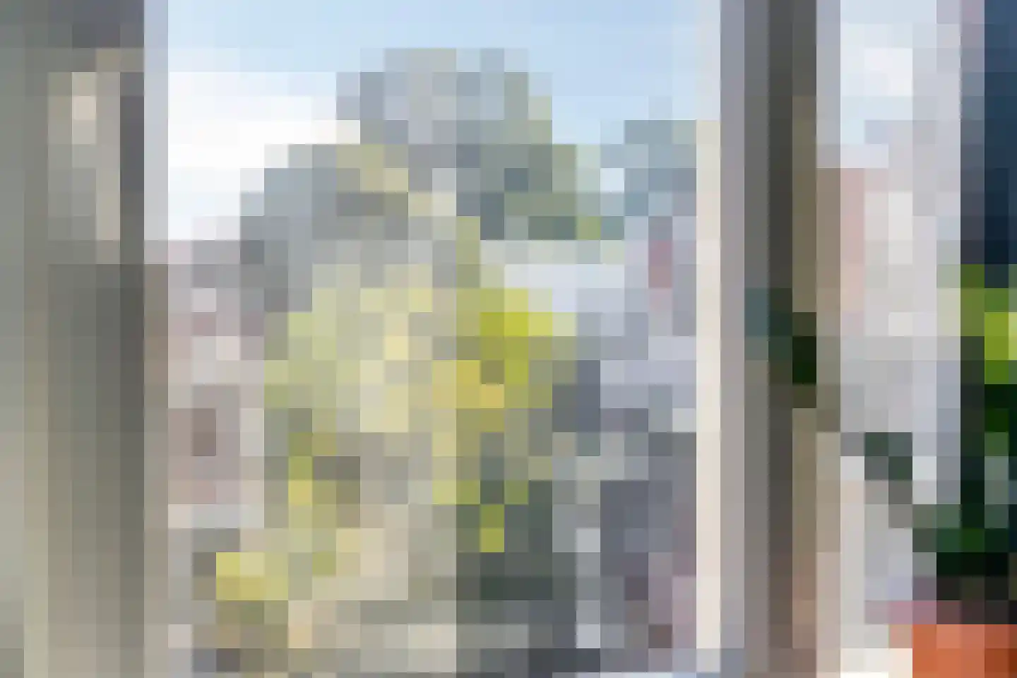 Schielaan 60 A Rotterdam thumbnail 17