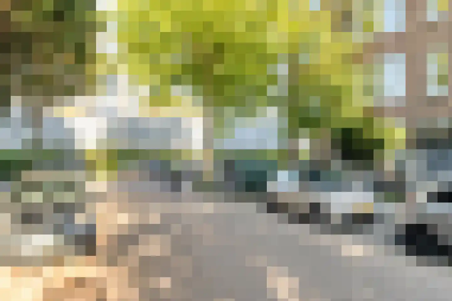 Schielaan 60 A Rotterdam thumbnail 29