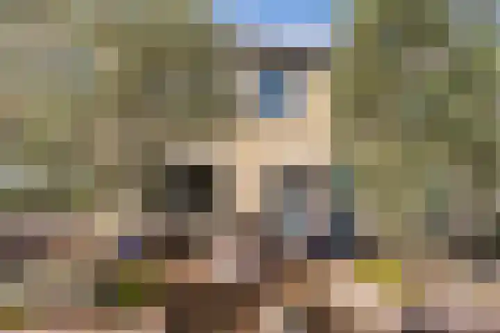 Schieland 14 Emmeloord thumbnail 10