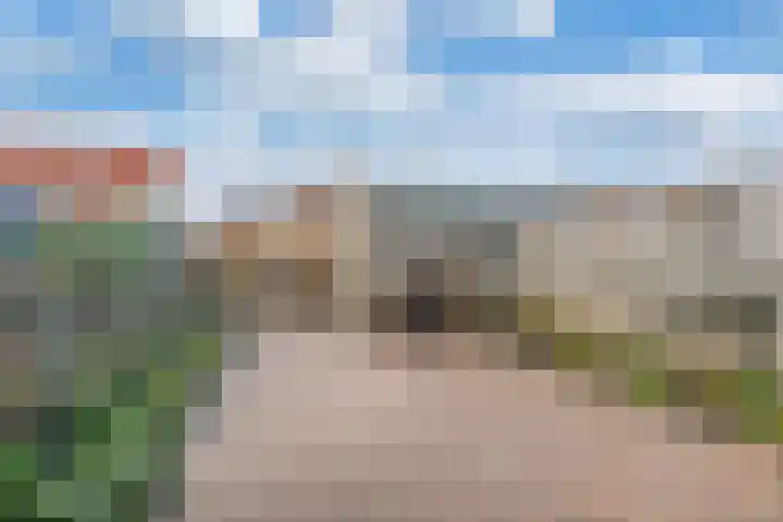 Schieland 14 Emmeloord thumbnail 30
