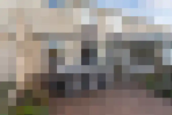 Schieland 14 Emmeloord thumbnail 31
