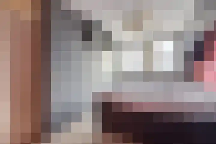 Schieland 14 Emmeloord thumbnail 38