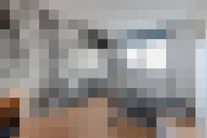 Schieland 14 Emmeloord thumbnail 39