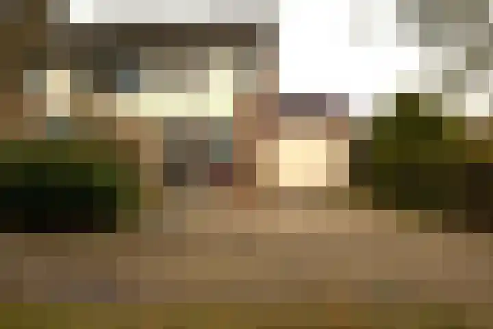 Schieland 20 Assen thumbnail 5