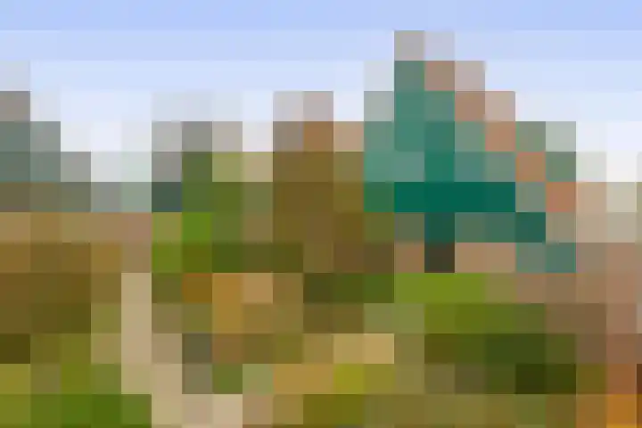 Schieland 21 Moerkapelle