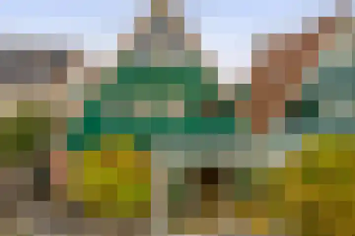 Schieland 21 Moerkapelle thumbnail 35
