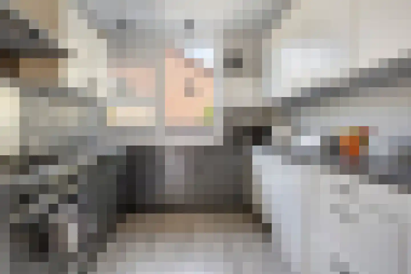 Schieland 24 Assen thumbnail 13