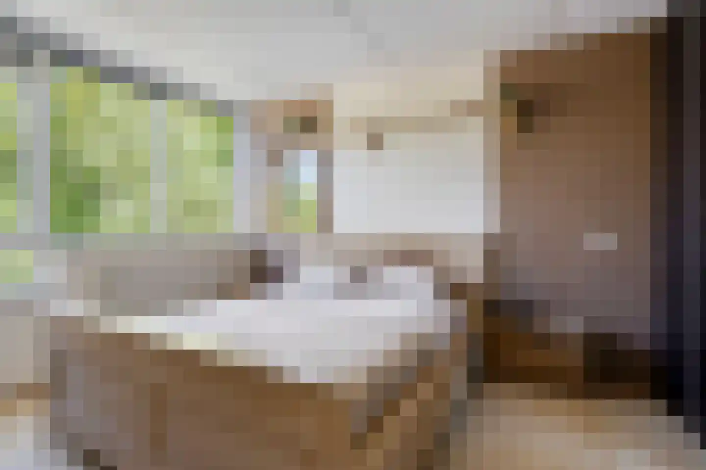 Schieland 24 Assen thumbnail 23