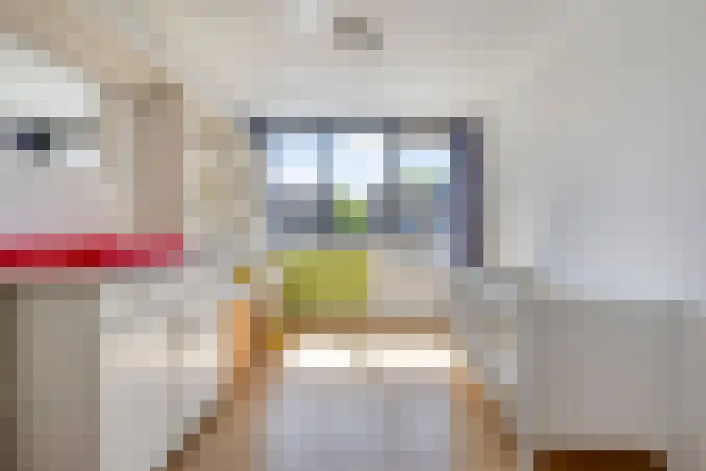 Schieland 24 Assen thumbnail 26