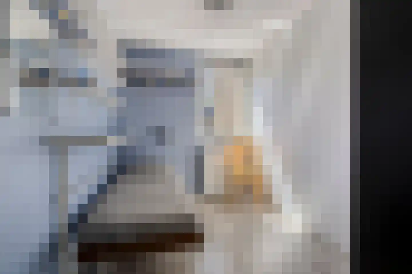 Schieland 24 Assen thumbnail 28