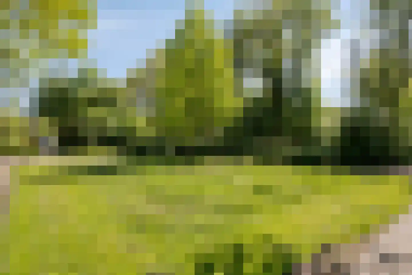 Schieland 24 Assen thumbnail 46